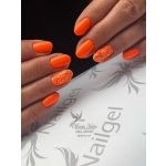 Platinum 017 gel lak 8 ml