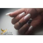 Cat Noir 03 gel lak 8 ml