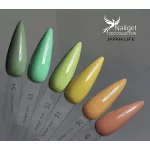 Zelený 051 CCO Gel lak 8ml