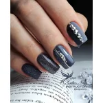 Šedý 081 CCO Gel lak 8ml