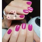 fialová 123 CCO Gel lak 8ml